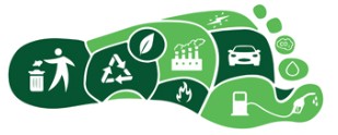 Carbon Reporting